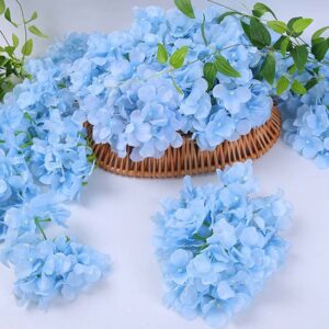 10 fleurs d hortensia bleu 2