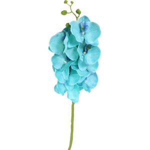 5 orchidees artificielles bleues