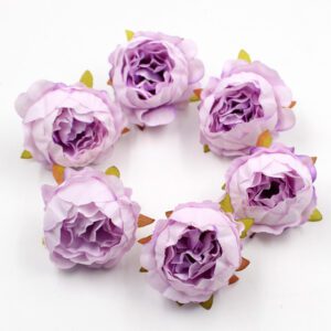 5 pivoines arbustives violettes 3