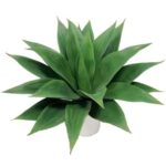 agave artificiel