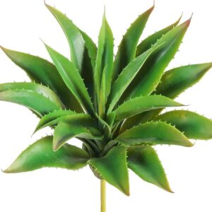 agave attenuata artificiel 2