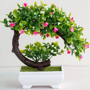 bonsai aux fleurs roses 2