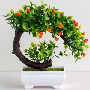 bonsai flamboyant rouge 2