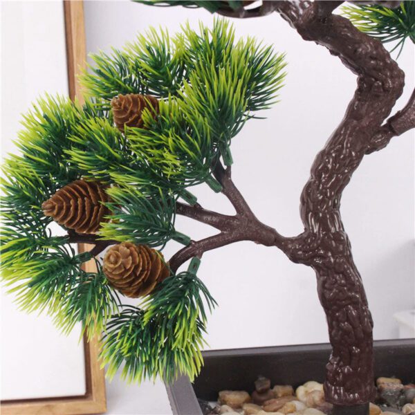 bonsai pomme de pin 2