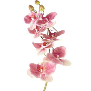 branche d orchidee artificielle 2