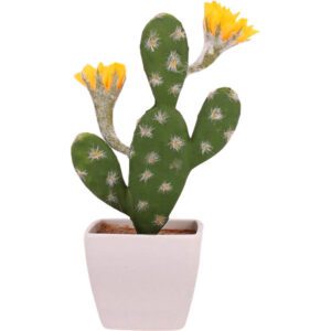 cactus a fleurs jaunes