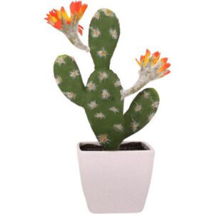 cactus a fleurs oranges 2