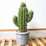 cactus artificiel exterieur 2