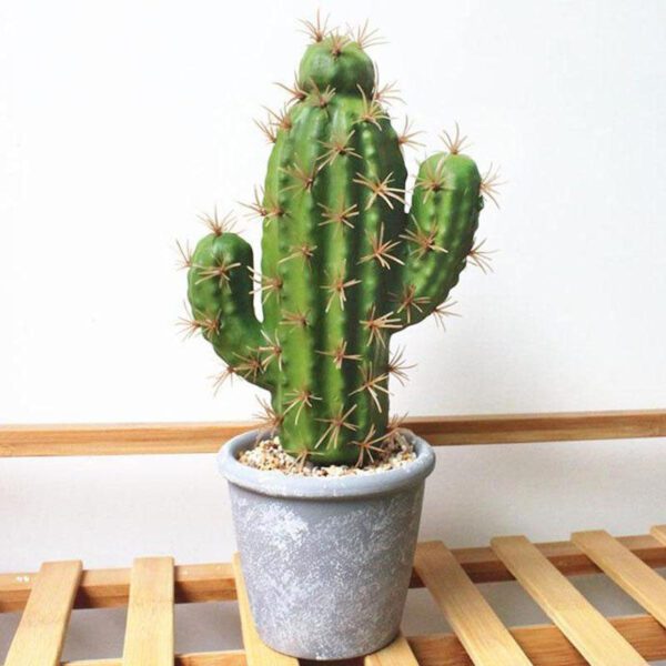 cactus artificiel exterieur 2