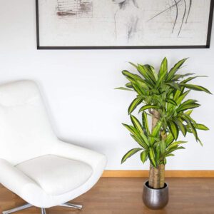 dracaena artificiel 2