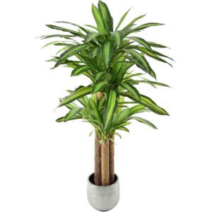 dracaena artificiel