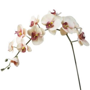 fleur artificielle orchidee