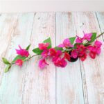 fleurs roses de bougainvillier 2