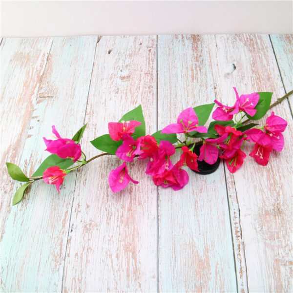 fleurs roses de bougainvillier 2