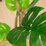 monstera artificiel 3