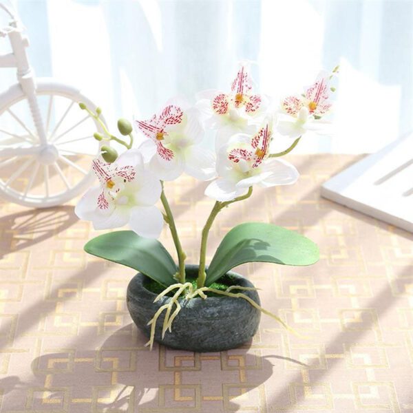 orchidee artificielle blanche