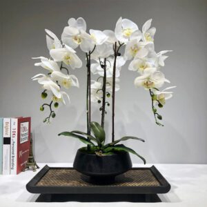 orchidee blanche artificielle