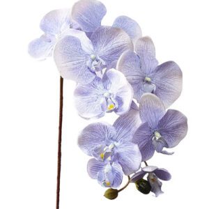 orchidee bleue artificielle