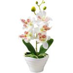 orchidee pour mariage