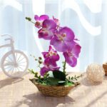 orchidee vanda artificielle 2