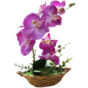 orchidee vanda artificielle