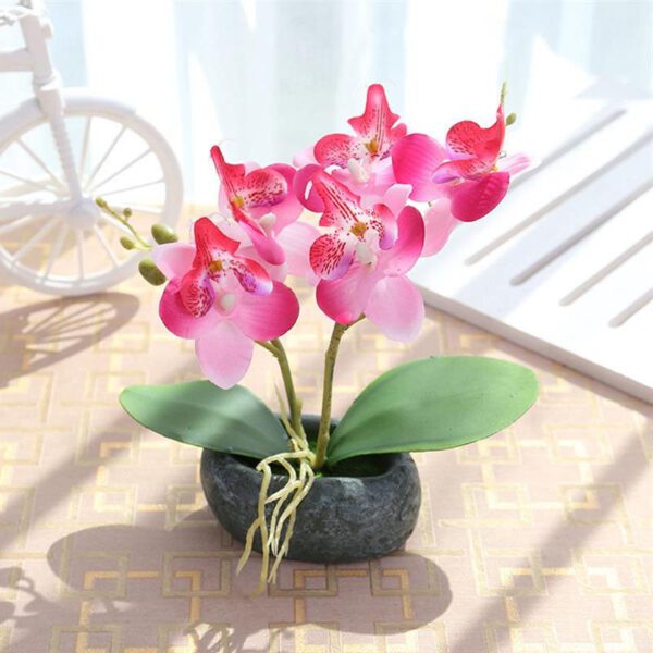 phalaenopsis artificiel