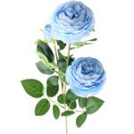 pivoine arbustive bleue