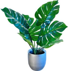 plante monstera artificielle