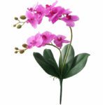 tige d orchidee artificielle