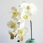 tige d orchidee artificielle 3