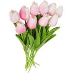 10 tulipes rose pale