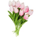 10 tulipes rose pale 2