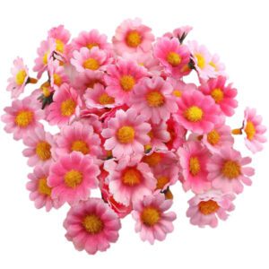 100 fleurs de marguerite rose 2