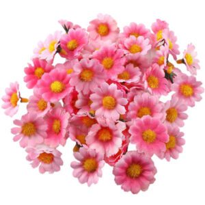 100 fleurs de marguerite rose