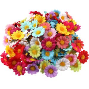 100 marguerites multicolore