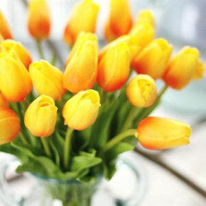 20 fleurs de tulipes jaunes 3