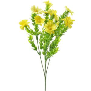 bouquet de marguerites jaunes