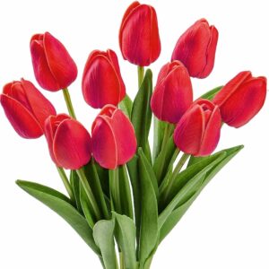 bouquet de tulipe rouge 3