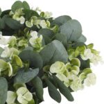 feuille d eucalyptus seche