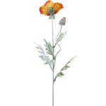 fleur de coquelicot orange