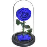 rose eternelle bleue