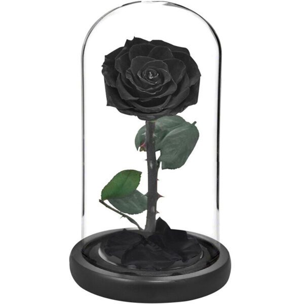 rose eternelle noir 2